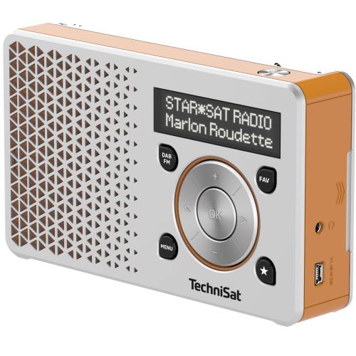 Technisat DigitRadio 1 silber/orange