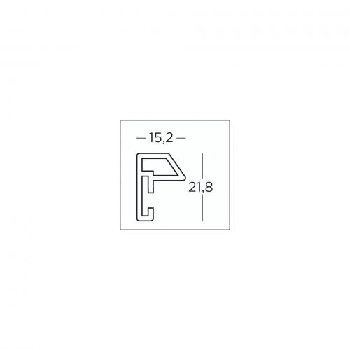 Walther Steel Style        30x40 Kunststoff silber         ES040S