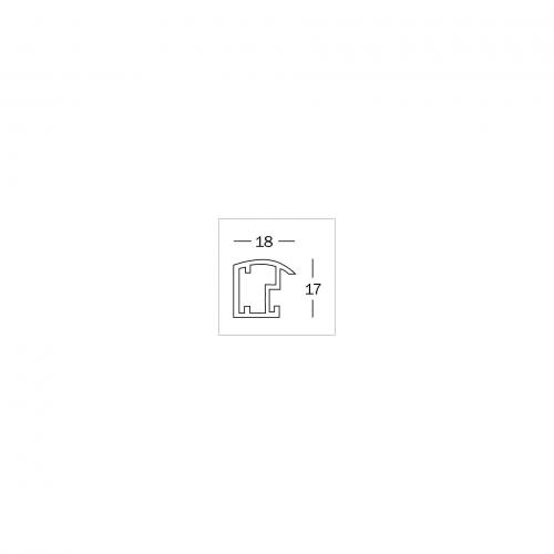 Walther Trendstyle silber  30x40 Kunststoff                KP040S
