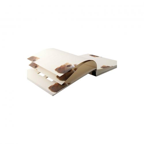 Walther Classic Bear     28x30,5 60 Seiten Baby Buch        UK273