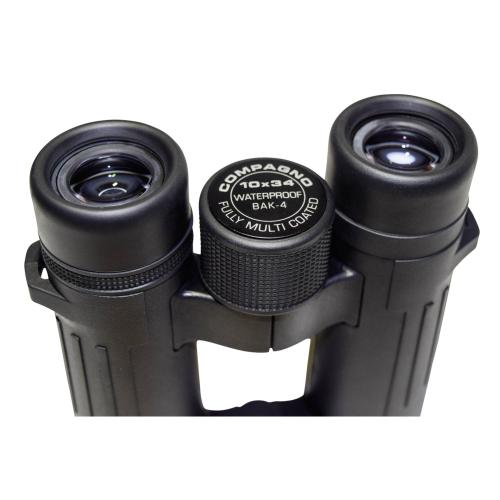 Braun Compagno          10x34 WP